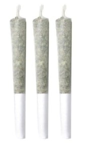Pineapple Buds - VOLCANIC HAZE CRAFT PRE-ROLLS - 3X 0.5G