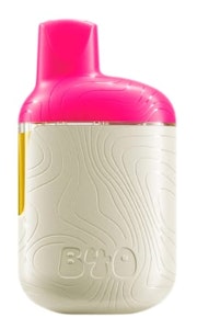 Back Forty - Watermelon Ice AIO - 0.95g