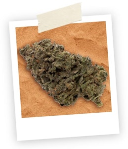 FIGR - Jungle Fumes 28g Dried Flower