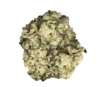 BC Green - CEMENT SHOES - 14G