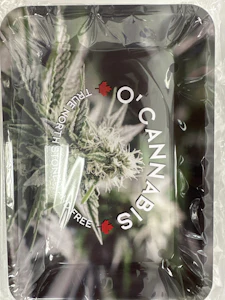 RAW - RAW / NON-RAW MINI Trays