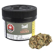 Cement Shoes | 3.5g | SUMO Cannabis