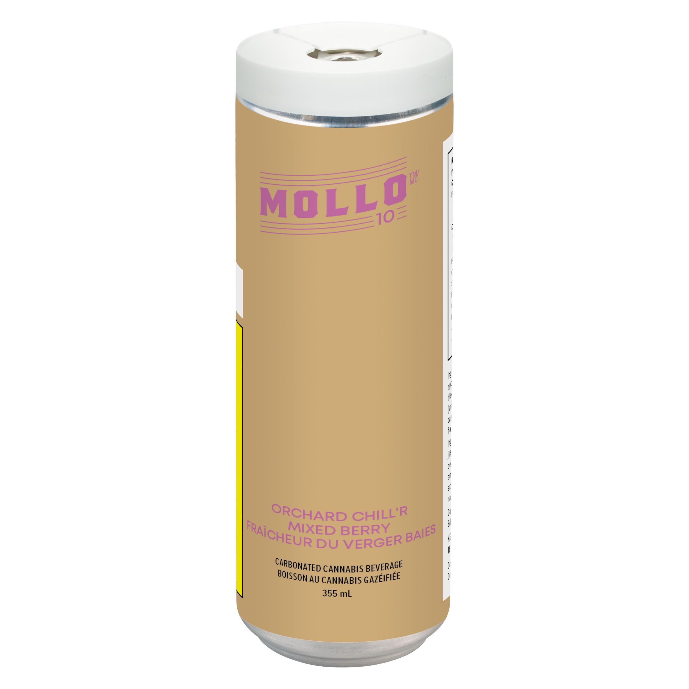 Orchard Chill'r Mixed Berry 355ml Beverages