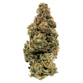 1964 - GG#4 3.5g Dried Flower