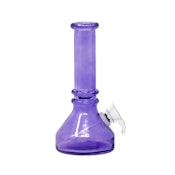 Blueberry - 6" Mini Beaker (Purple)