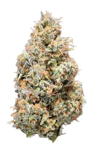 Tribal - CUBAN LINX | 3.5g