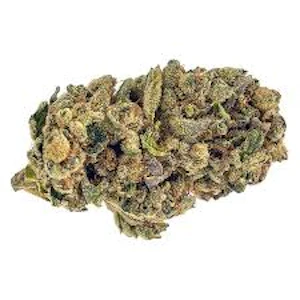 Popcorn - Popcorn Sativa 7g - Freedom