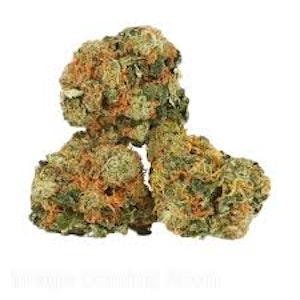 Windmill - 7g (Rotating Strain) - Freedom