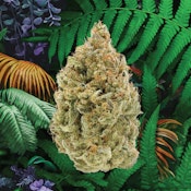 BC Organic Fruit Loopz 3.5g Dried Flower by Simply Bare