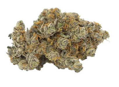 Sitka Legends - SNOZZBERRY GUSH YUM - 7G