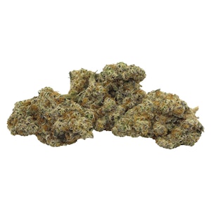 Violet Tourist - 14g