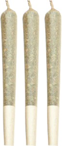 Sweetgrass - Sweetgrass - Mint Chocolate Chip Pre-Rolls 3x0.5g | 1.5g