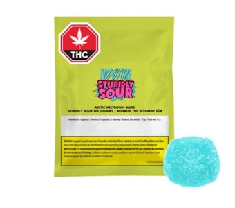 No Future - No Future - Arctic Meltdown Blues (1pc)