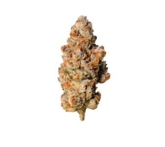 Stonegrove - StoneGrove - GUMI (3.5g)