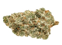 Kush God - 7g