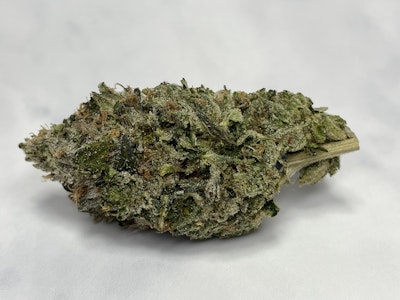 Salt Spring Magic - 7g Timmy's OG Shark