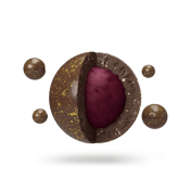 Dazzleberry Pop (5 x 2mg) - Lord Jones