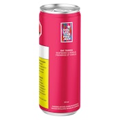 Collective Project - Day Tripper (Raspberry & Vanilla) Sparkling Juice 355ml