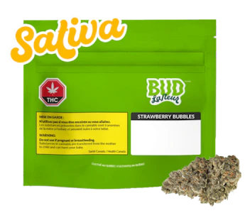 Bud Lafleur - Strawberry Bubbles 3.5g Dried Flower