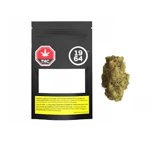 1964 - Blue Dream 1964 1G