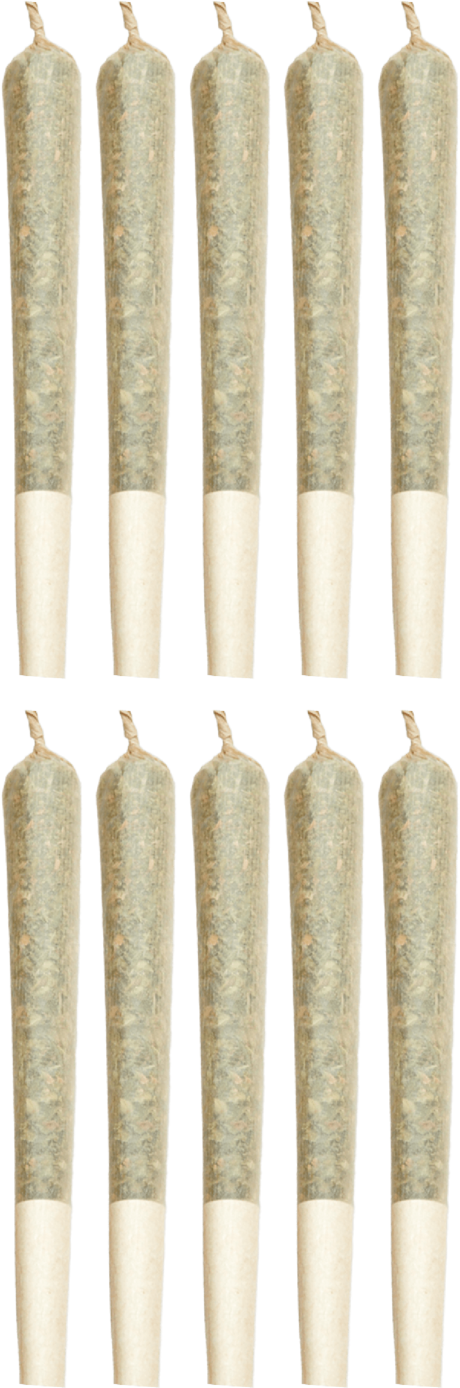 The Loud Plug - Exotic Gas Pre-Rolls 10x0.5g | 5g