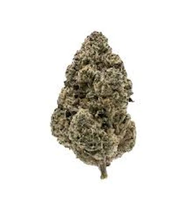 FIGR - MELLOW MAN DF