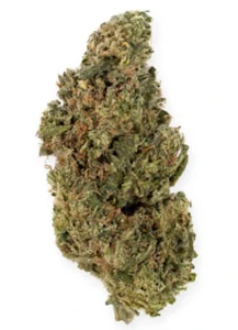 Book Club - KRUNTZ - 7