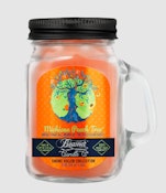 Michigan Peach Tree Beamer Candle | 12oz - Michigan Peach Tree Beamer Candle | 12oz