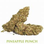 Encore Pineapple Punch 14g Dried Flower