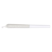 Jean Guy Pre-Roll 1x1g