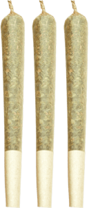 2 Rivers - 2 Rivers - Street Guru Pre-Rolls 3x0.5g | 1.5g