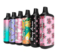 Secret Discreet 510 Vape Battery