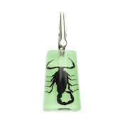 Stand Up Black Scorpion