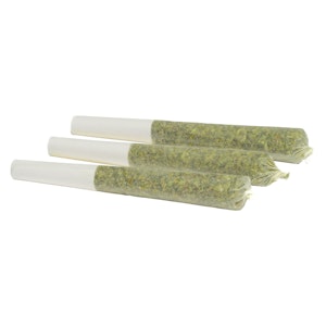 Greybeard - Critical Diesel Pre-Roll 3x0.5g Pre-Rolls