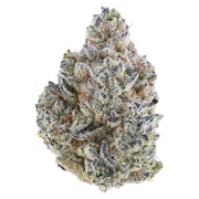 Bubble Up 3.5g Dried Flower