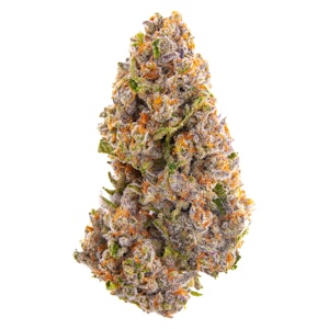 FOUR54 - FOUR54 - LA Beatnik- Indica - 1g