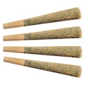 Night Rider Indica Pre-Roll 20x0.35g