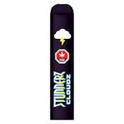 Stunnerz - Watermelon All-In-One Vape Pen 1g Disposable Pens