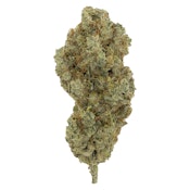 Cactus Milk - Indica - 3.5g Dried Flower