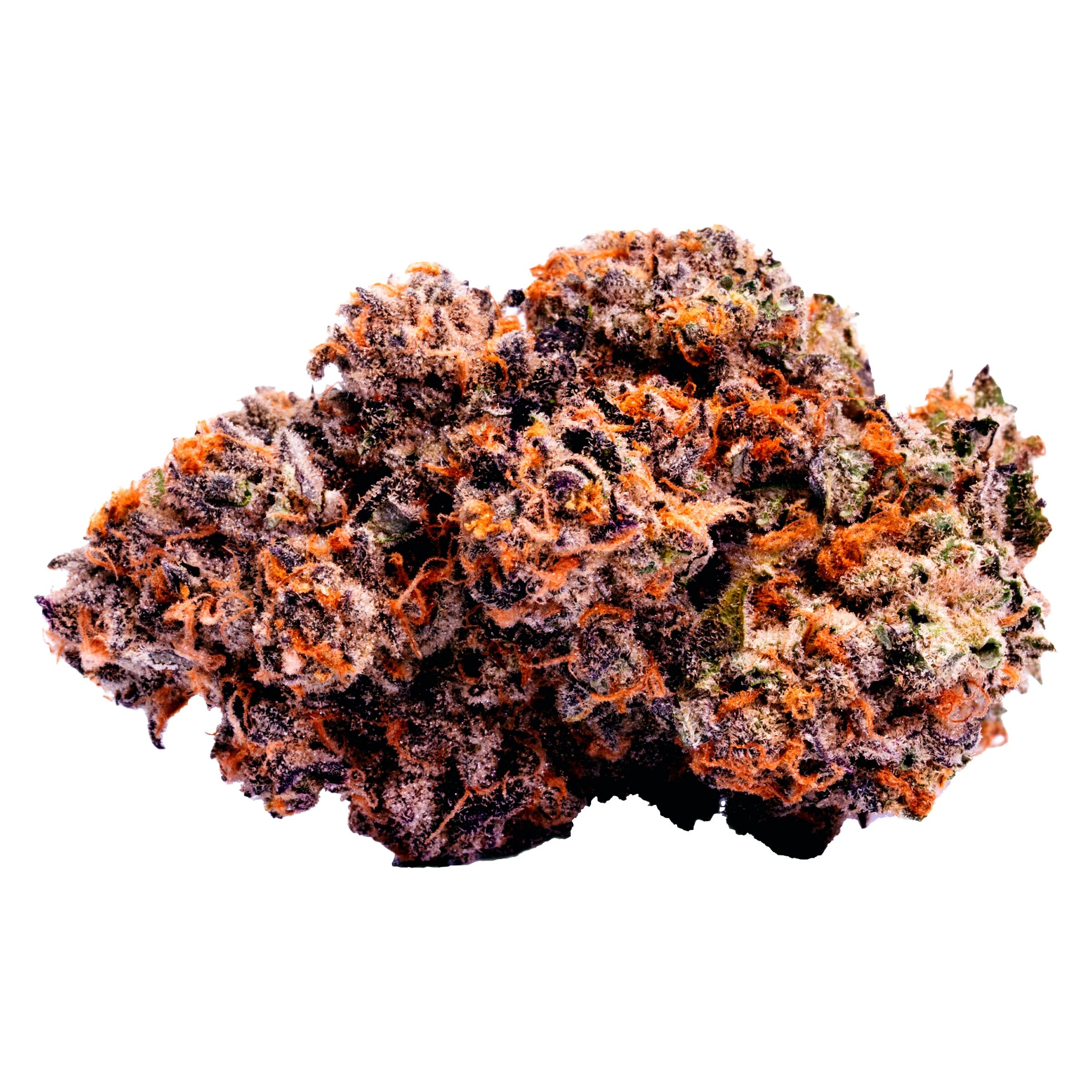 BLK MKT - Gastro Pop - BLK MKT Main Image