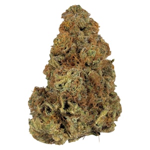 Weed Me - Gassy Treasure 7g Dried Flower