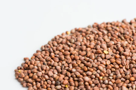 mumms - Mumm's - Radish, Daikon