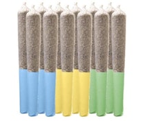 Sativa Day Time Express Variety Pack - 12x0.5g - Pre-rolls | Elevate
