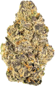 Strains - RNTZ | 14g