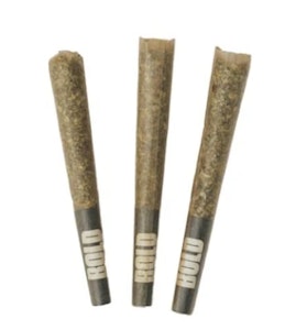 BOLD - ORANGE CRUSH - 3 x 0.5g