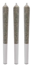 Victoria Cannabis Company - G-WAGON PRE ROLLS | Victoria Cannabis Co. - 3 x 0.5g | Rest