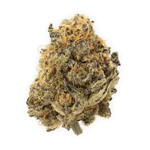 Saltspring Magic - SALTSPRING LOVE HAZE - FULL FLOWER - 28G