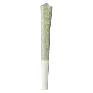 terra labs - 1 x 1g GMO Infused Pre-Roll