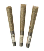 ORANGE CRUSH PR | BOLD | 3 x .5g