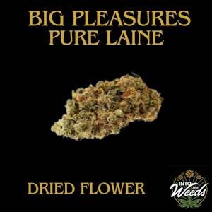Pure Laine - Big Pleasures - 28g